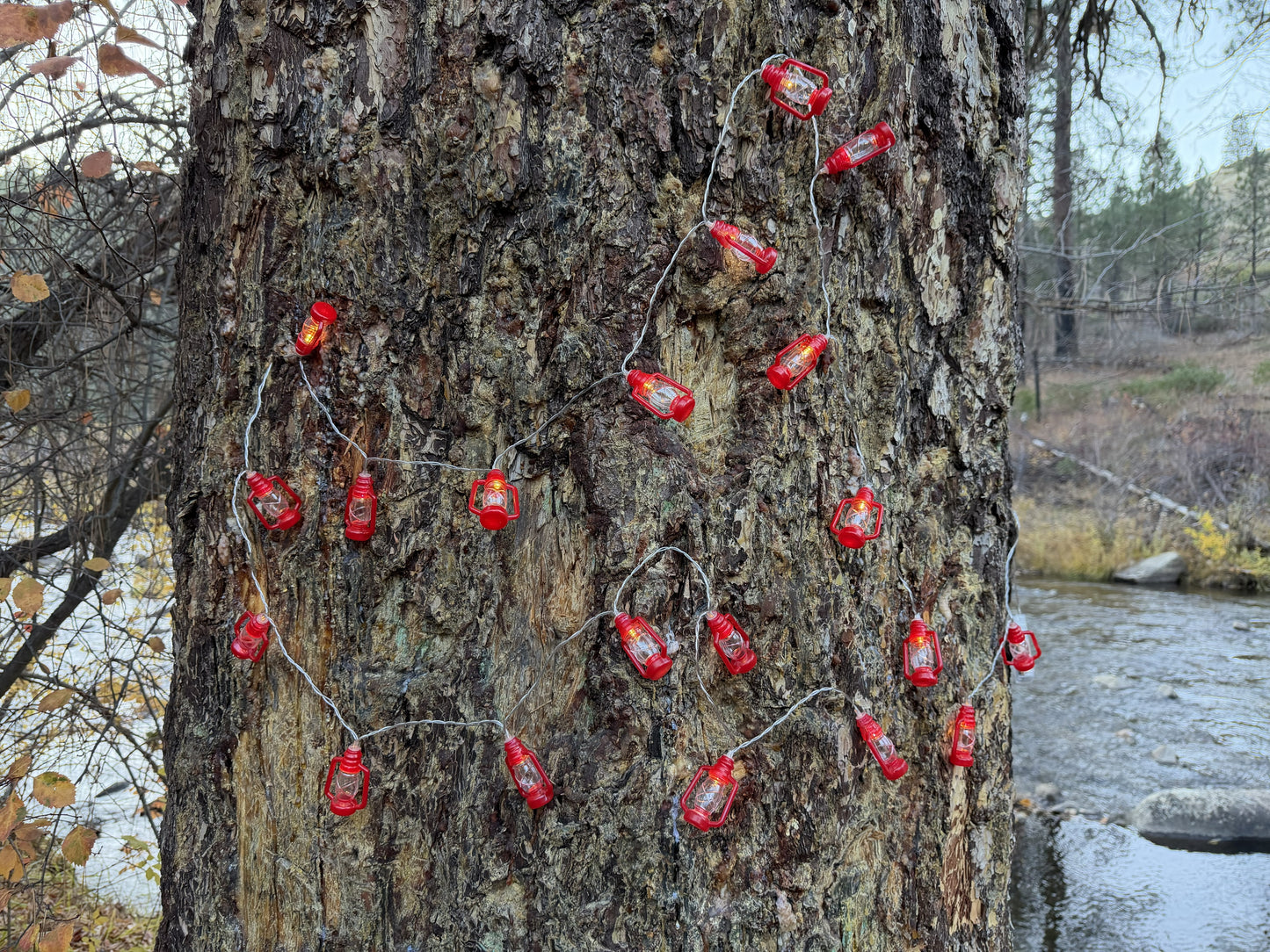 pine with me string lights