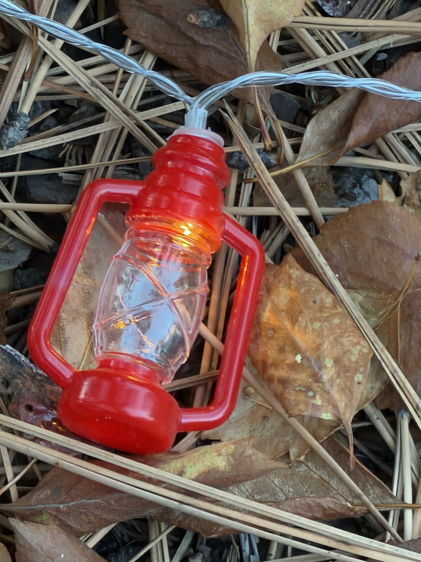 pine with me string lights