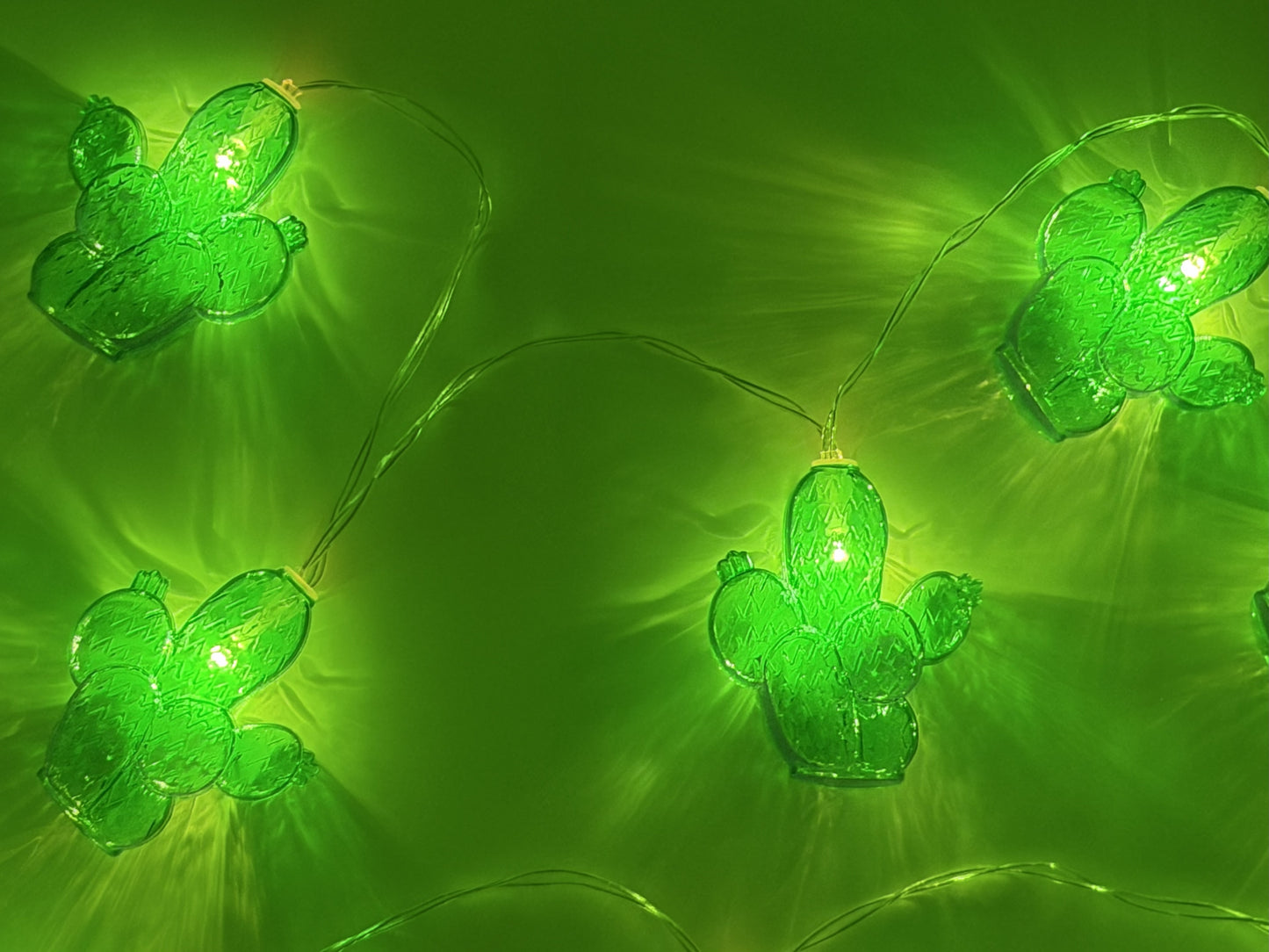 thorn identity string lights