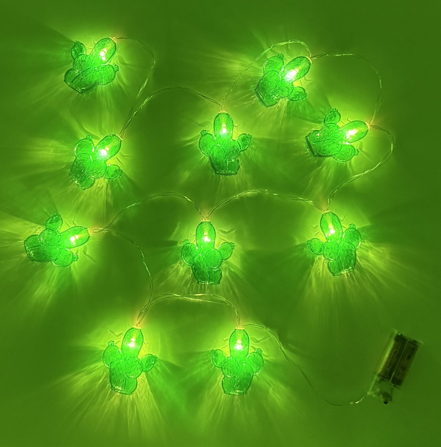 thorn identity string lights