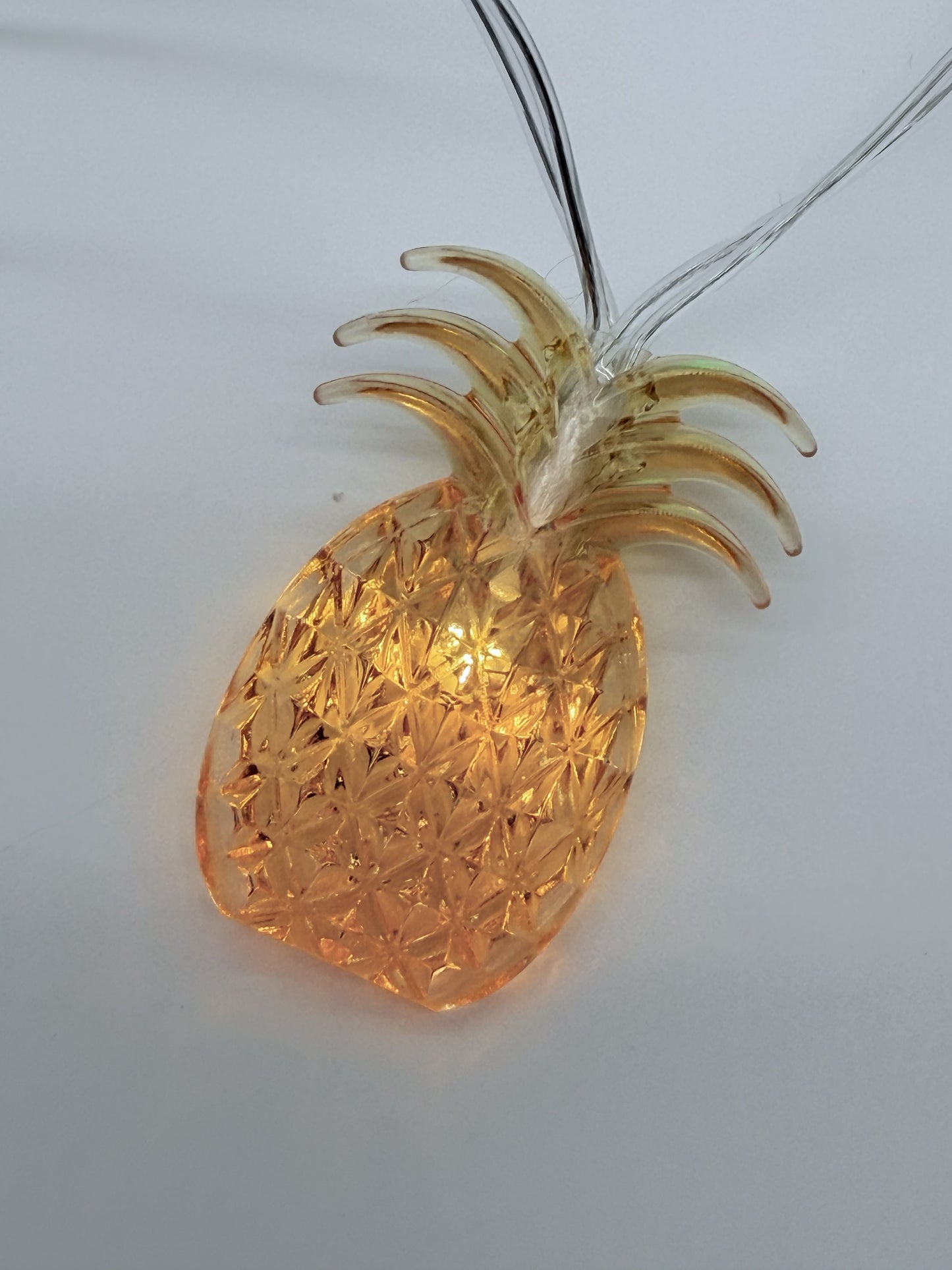 trop-ic like it's hot string lights