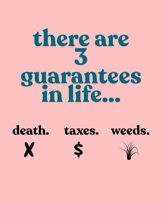 3 guarantees. printable home decor